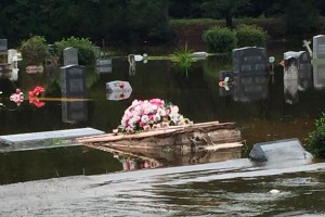 � ��� �� ����������� �������� ������� �����