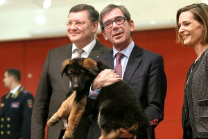 ����� ������� ������ ������� �����������