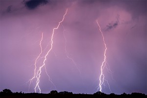 ���� ������ ���� ���� �����