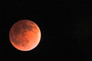 �� ����� ������ ������� � ������� (�����)