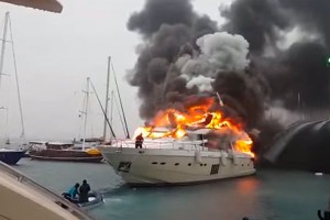��������� � ������ ���� ������������ ���������