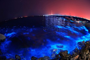 � ������� ���� ������� ����������� ��������