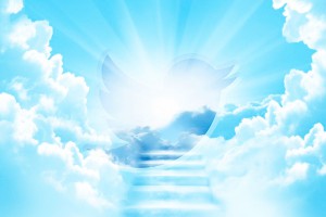 "���" ���� �� Twitter