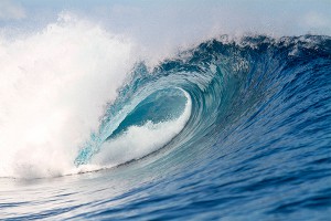 ���� ������ �������� ������ ���� �������