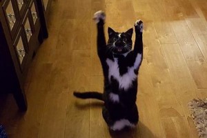 ������ ������ ����� "���������"