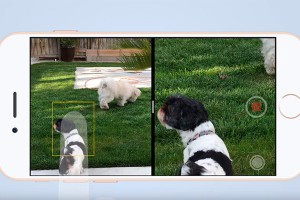 ������� ������ iPhone 7 �������� ���������