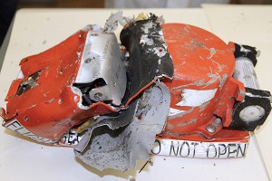 � ��� ����������� ����� ������� FZ-981