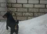 ���������� ����� � ���� ���������� �� ��������� �����