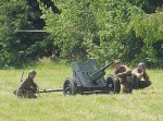 ���������� �������� - 2009