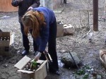 ���������� ������� ������ ��������