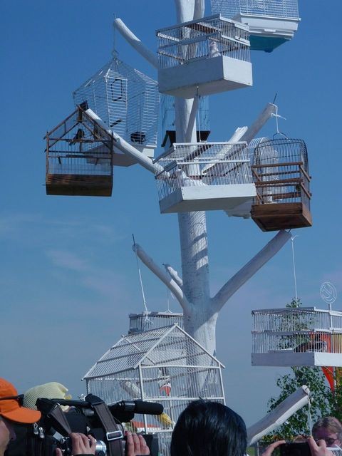 ����������� �������� - 2005�